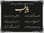 شهادت حضرت زینب (س)+ 2