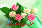 فرا رسیدن ماه ربیع الاول و ایام با سعادت میلاد آخرین پیام آور الهی، پیامبر رحمت، حضرت محمد مصطفی (ص) مبارک 2