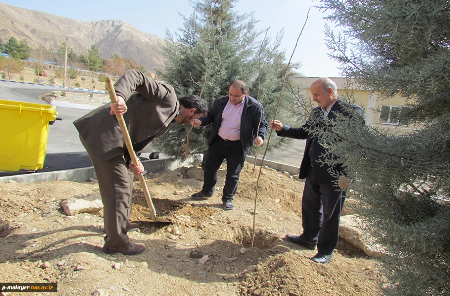 برگزاری جشن درختکاری  2
