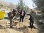 برگزاری جشن درختکاری  3