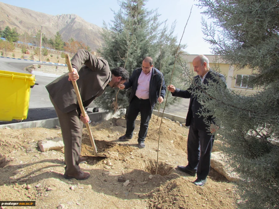 برگزاری جشن درختکاری  3