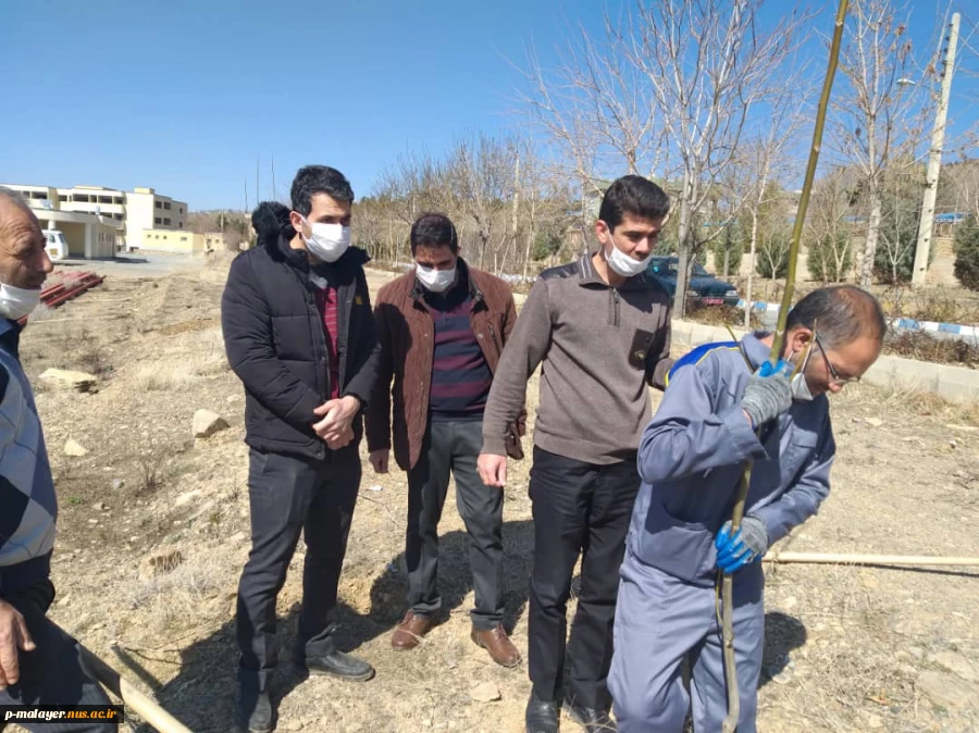 کاشت نهال درخت با حضور همکاران 3