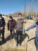 کاشت نهال درخت با حضور همکاران 4