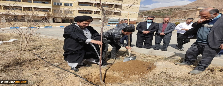 غرس یک اصله نهال توسط فرزند شهید سید علی اندرزگو 2