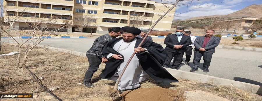 غرس یک اصله نهال توسط فرزند شهید سید علی اندرزگو 4