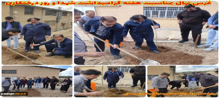 غرس ده اصله نهال بمناسبت هفته گرامیداشت شهدا و روز درختکاری 2