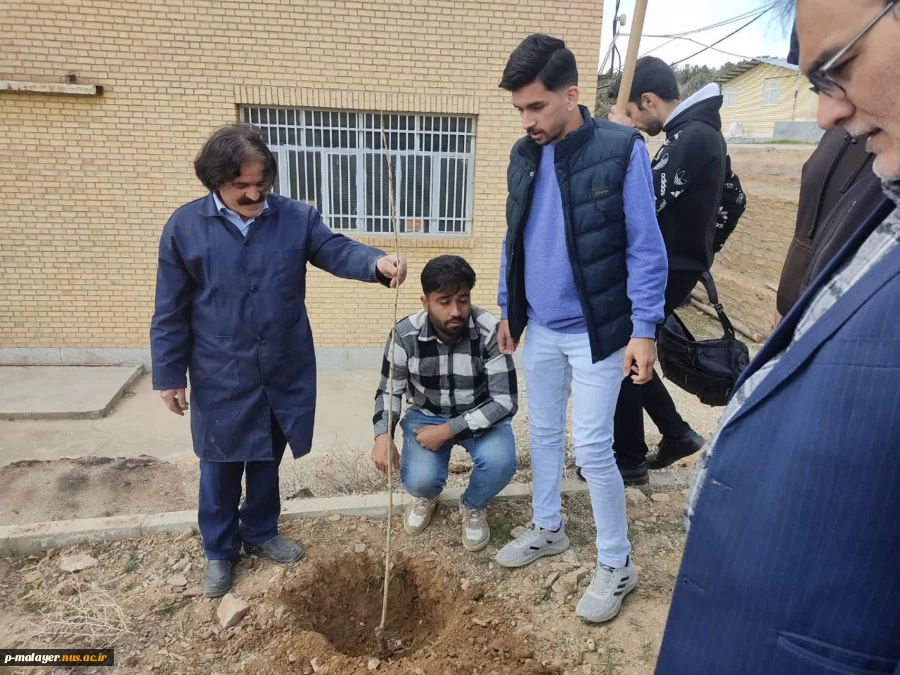 غرس ده اصله نهال بمناسبت هفته گرامیداشت شهدا و روز درختکاری 3
