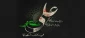 شهادت امام علی (ع)