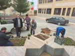 استقبال از بهار 8